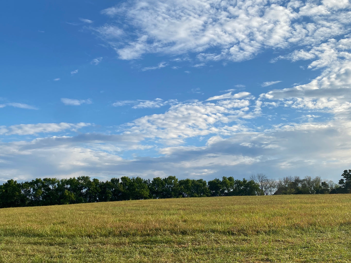 Nature Walks