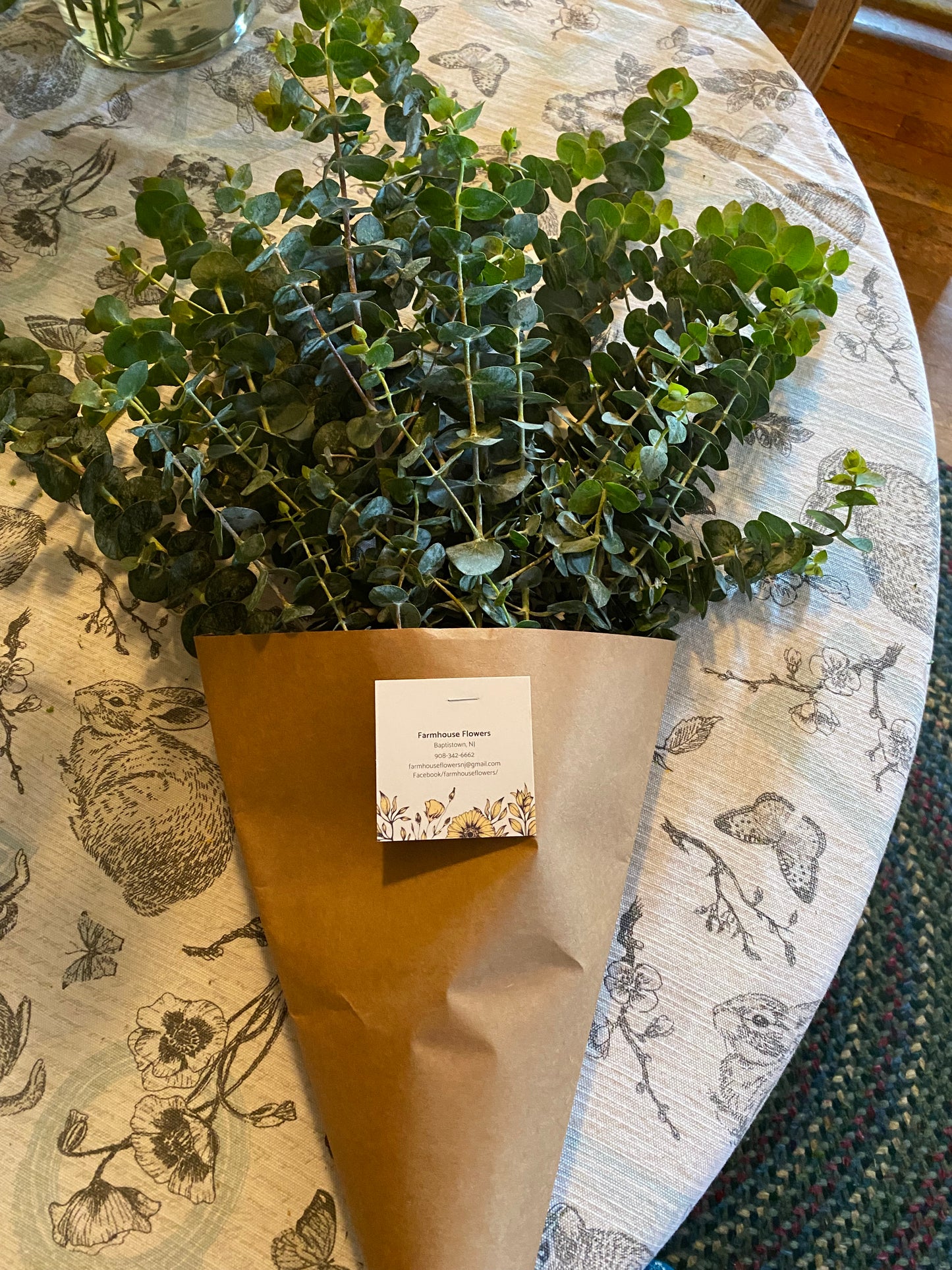 Eucalyptus Shower Bundle