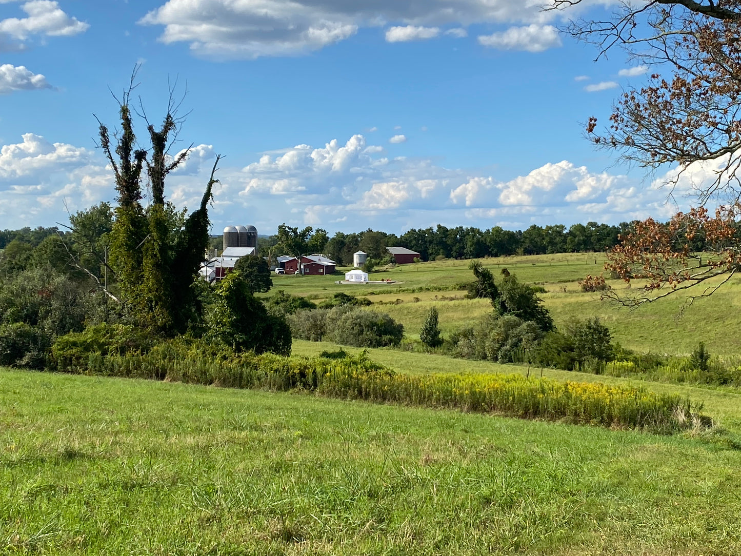 Pasture to Plate Farm Brunch Sunday Oct 19th 11-2pm
