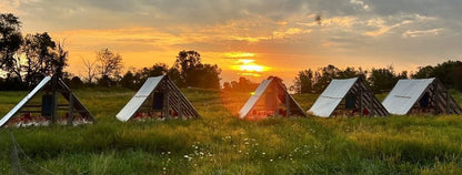 Pasture to Plate Farm Brunch Sunday Oct 19th 11-2pm